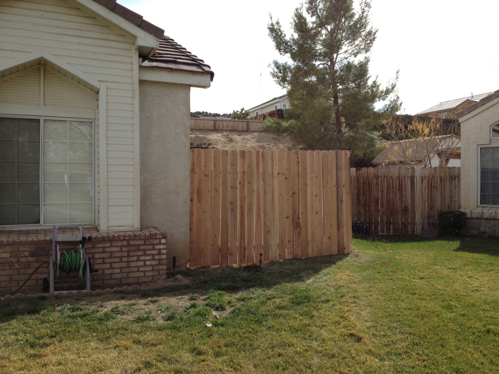 Fence - Completed