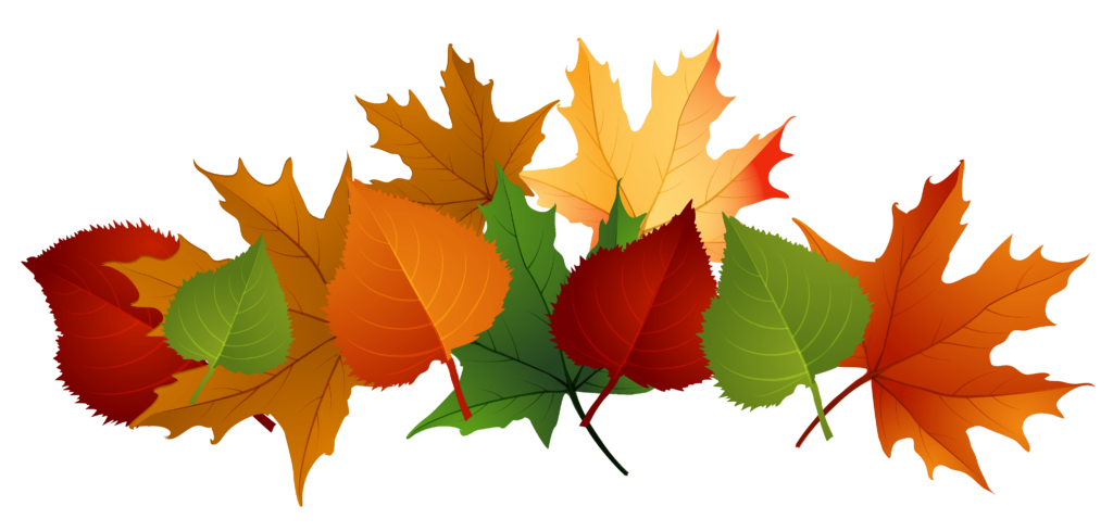 autumn-leaves-1024x490.png