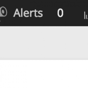 Dashicons in Conversations & Alerts