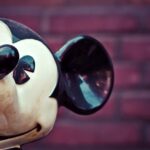 Disneyland as A Learners’ View (ALV) of Learning