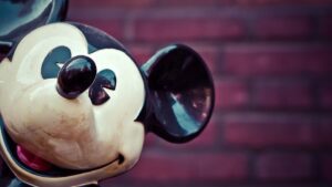 Disneyland as A Learners’ View (ALV) of Learning