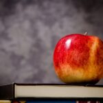 Teachers Cringe at Common Core State Standards