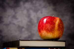 Teachers Cringe at Common Core State Standards