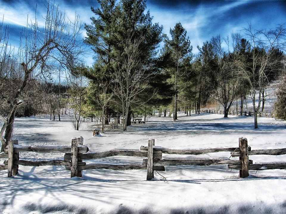 north-carolina-winter.jpg