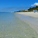 The Top 5 Attractions in Florida